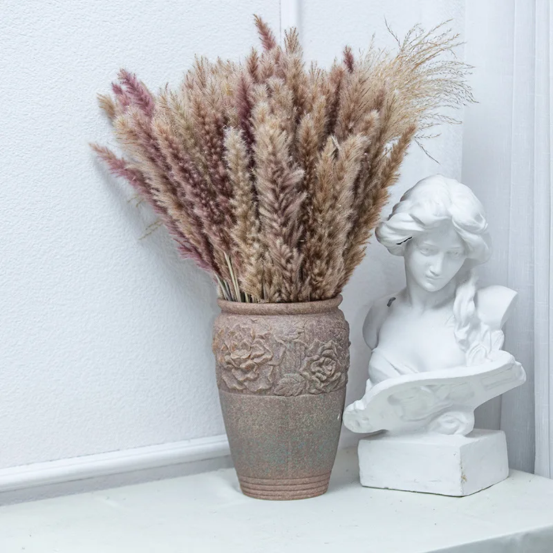 Cheap Price Real Dried Pampass Long Lasting Small Pampas Grass