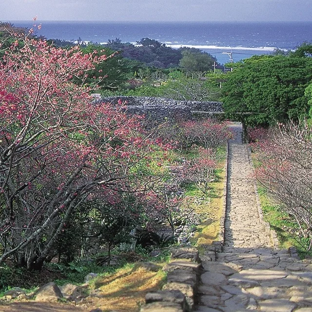 Горячая Распродажа сладкая и гладкая стеклянная бутылка 720 мл оптовая продажа ликера