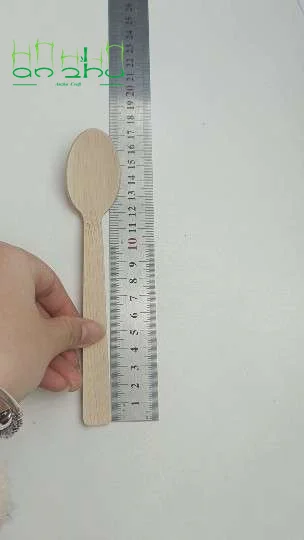 2024 New disposable ice cream spoon and fork set