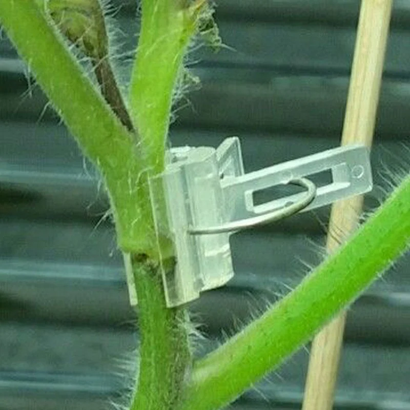 Сельскохозяйственная пластиковая продукция по удивительной цене, полипропиленовая наземная крышка, литье, арбуз, помидоры, огурец, дыня