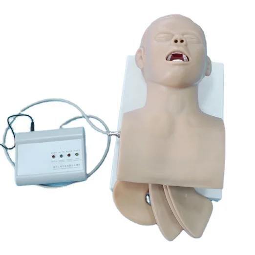 Модель для обучения управлению дыхательными путями, тренажер для интубации трахеи, модель для обучения интубации для взрослых дыхательных путей