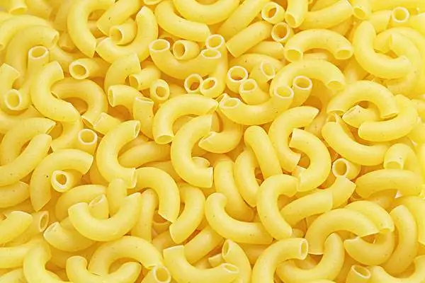 Commercial large industrial macaroni pasta making machine single screw extruder machine