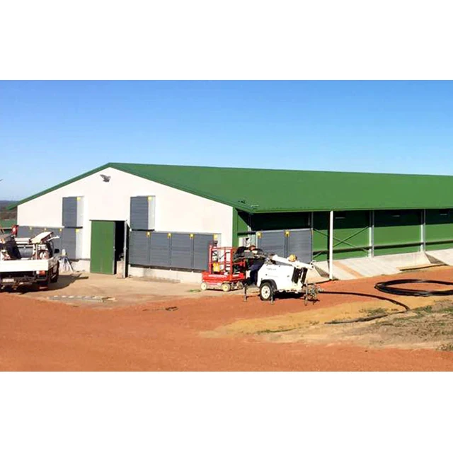 China Low Cost light metal prefab chicken farm shed building steel structure chicken house with automatic chicken Equipment