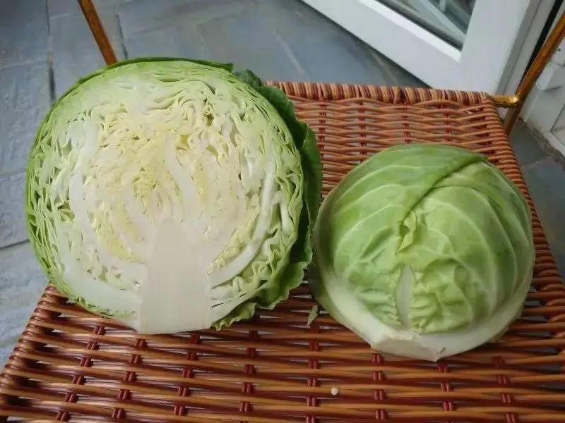 
New Chinese 2020 crop ball shape cabbage zhangjiakou origin 