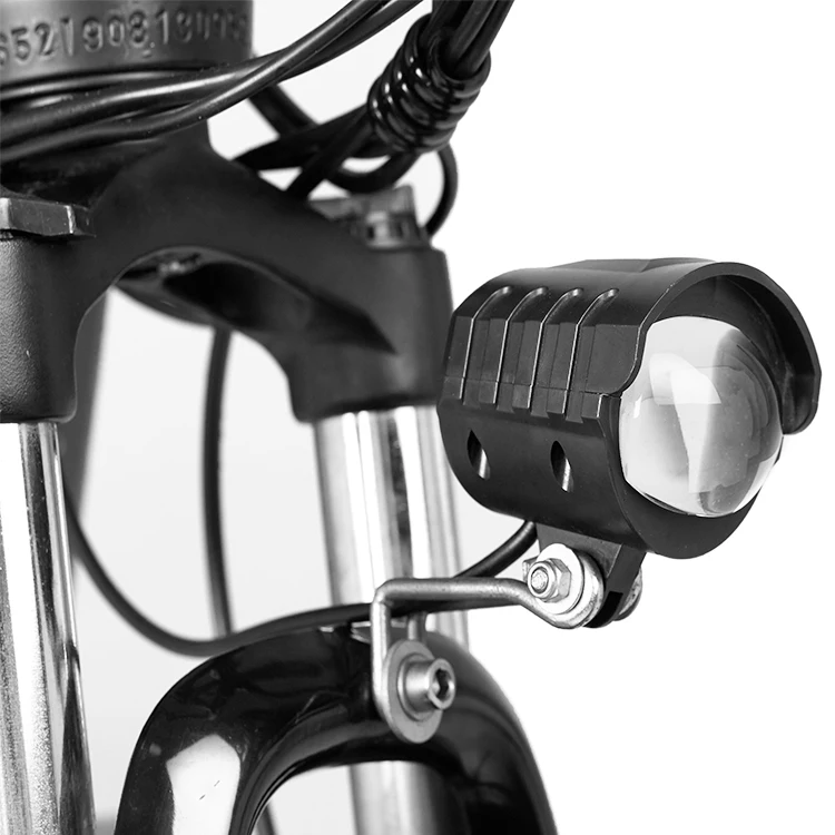 Freego China Hot Sale 48V Electric Fat Tire Bike With Removable Battery  Electric Mountain Bike