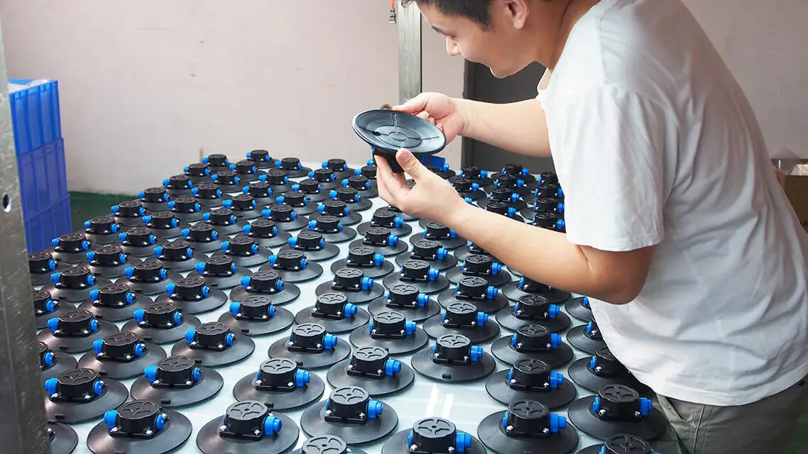 cup inspection -1