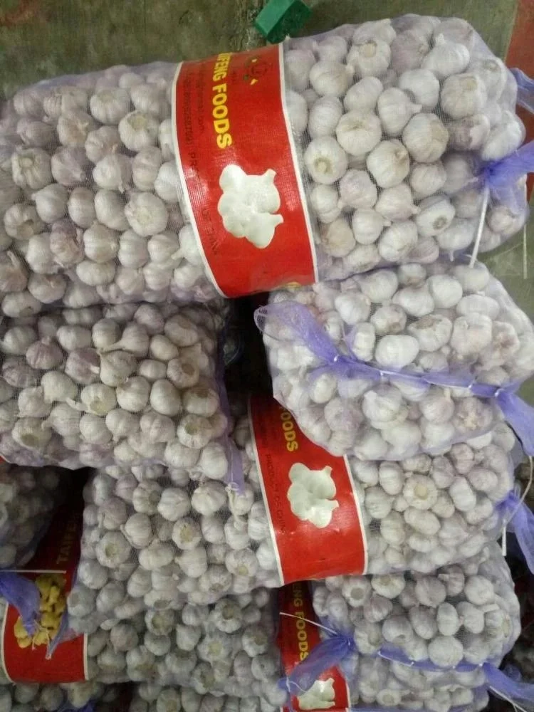 2021 new crop 5.5cm 5kg mesh bag packing pure white garlic
