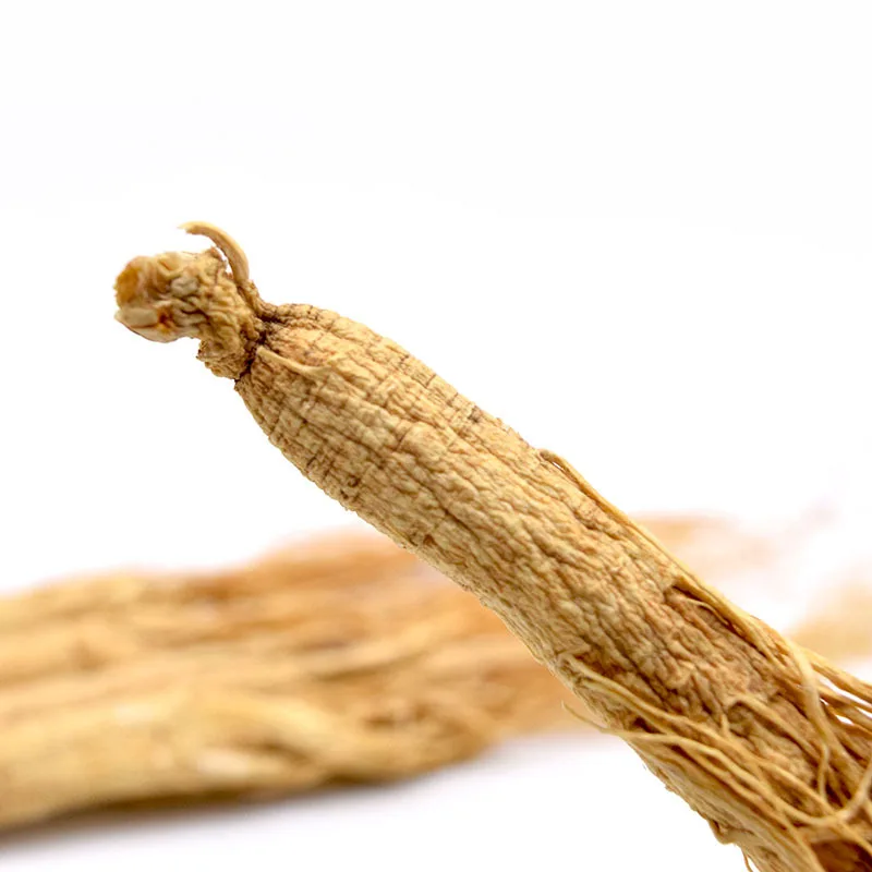 Factory Price High Quality Panax Ginseng Products Ginseng Root