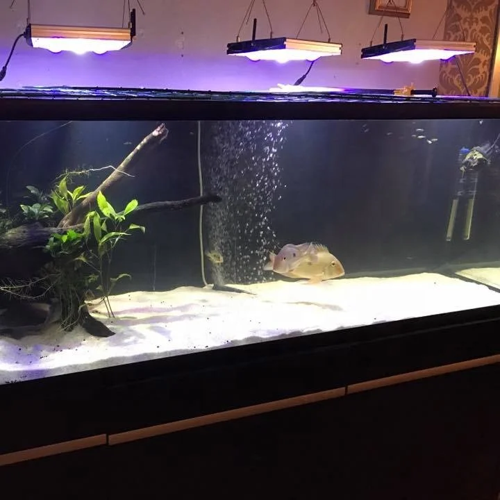 Беспроводной пульт дистанционного управления с регулируемой яркостью коралловых рифов светодиодный светильник 150 Вт Светодиодная подсветка для аквариума, 120 Вт led аквариум свет