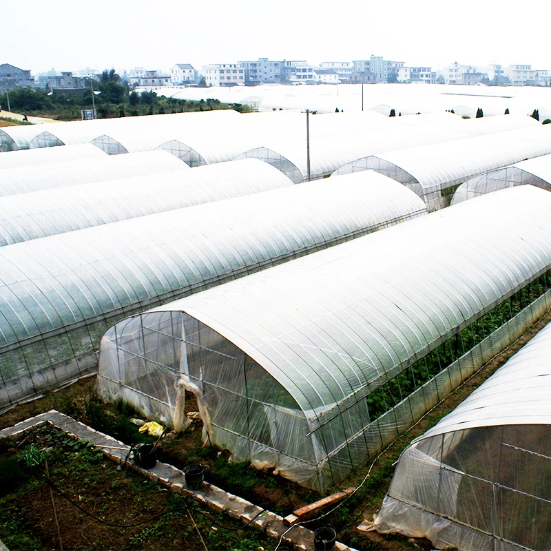 
Single-Layer PO Greenhouse Film Gothic Tunnel Greenhouse 