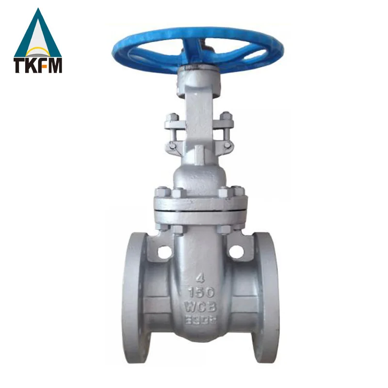 ANSI Class 150-900 Pn2-Pn16 Manual Stainless Steel Flanged Gate Valve For Industry