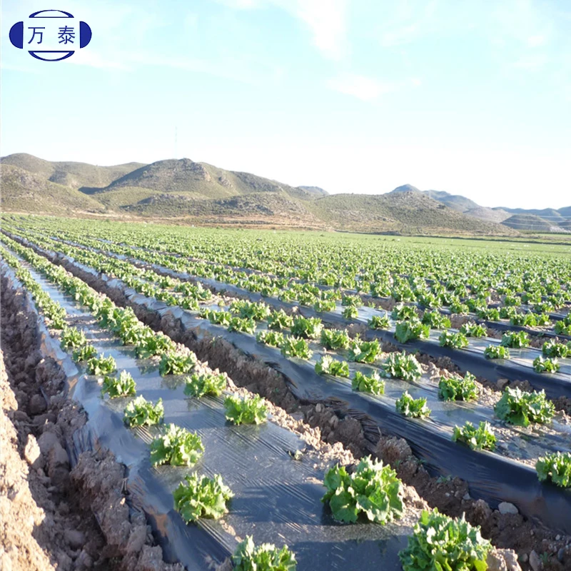 biodegradable eco-friendly agricultural plastic compostable mulch film