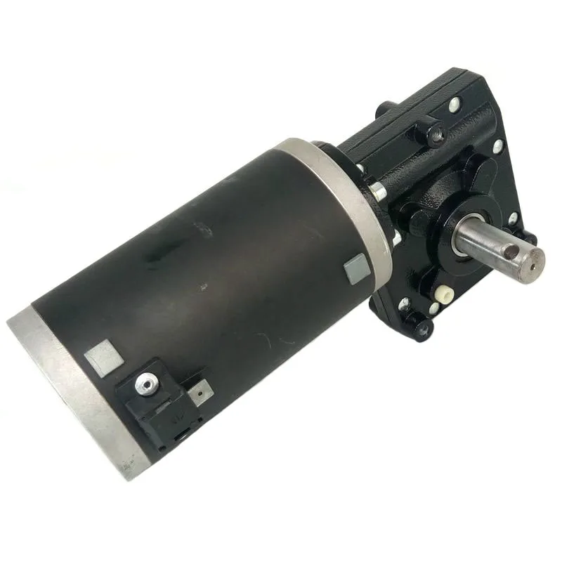 12 Volt 120 Rpm Worm Shaft Electric Dc Motor 24V 12V Dc Worm Motor