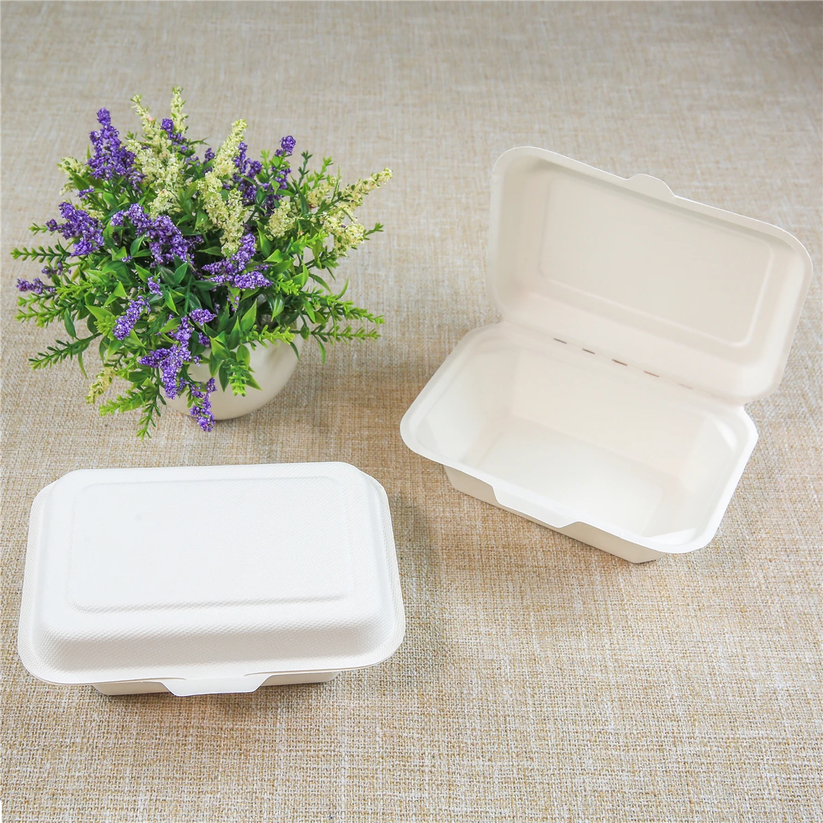 
Lz-B004 Eco-Friendly bagasse food packaging biodegradable container lunch box 