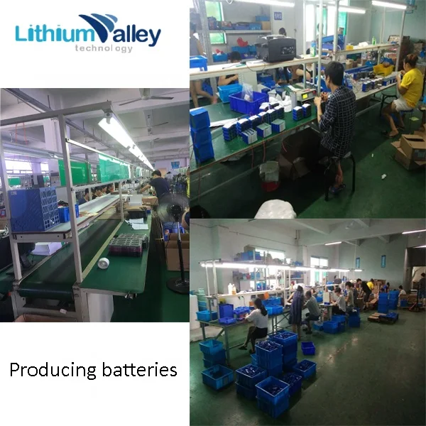 Factory Price Green Deep cycle 48V Lithium Ion Lifepo4 48V 50AH battery for golf cart/e-rickshaw/electric scooter/e-bike