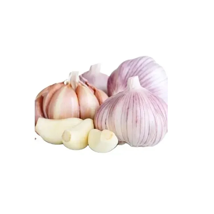 Cheap Price Shandong Fresh vegetable Garlic For Frying Vegetables