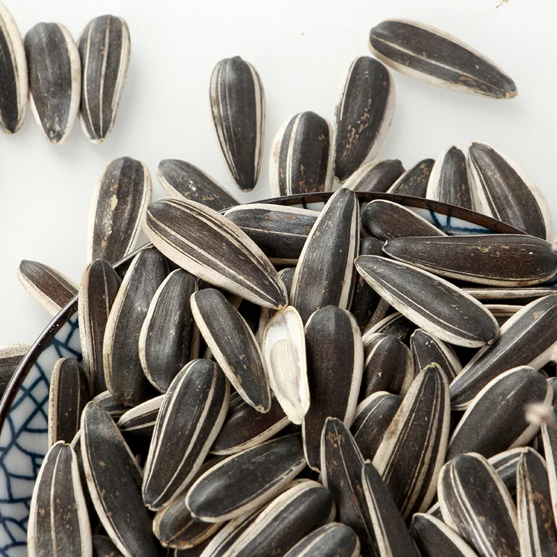 Wholesale China New Type Big Size  Sunflower kernels Seeds green sunflower seeds