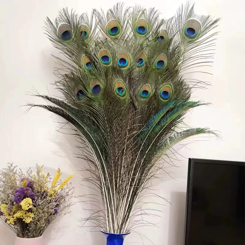 Supplier Wholesale Bulk  Peacock Feathers for Floral Arrangements Wedding Home Party Decoration