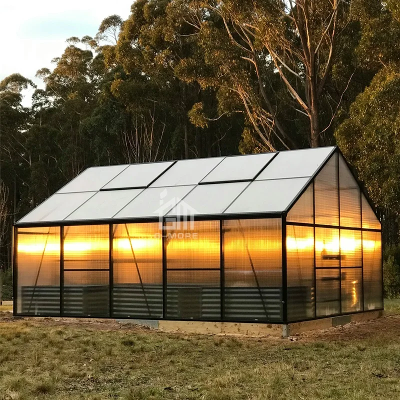 G-MORE High Class Aluminum Framed Greenhouse 10MM PC Pavilion 12x4 Meters