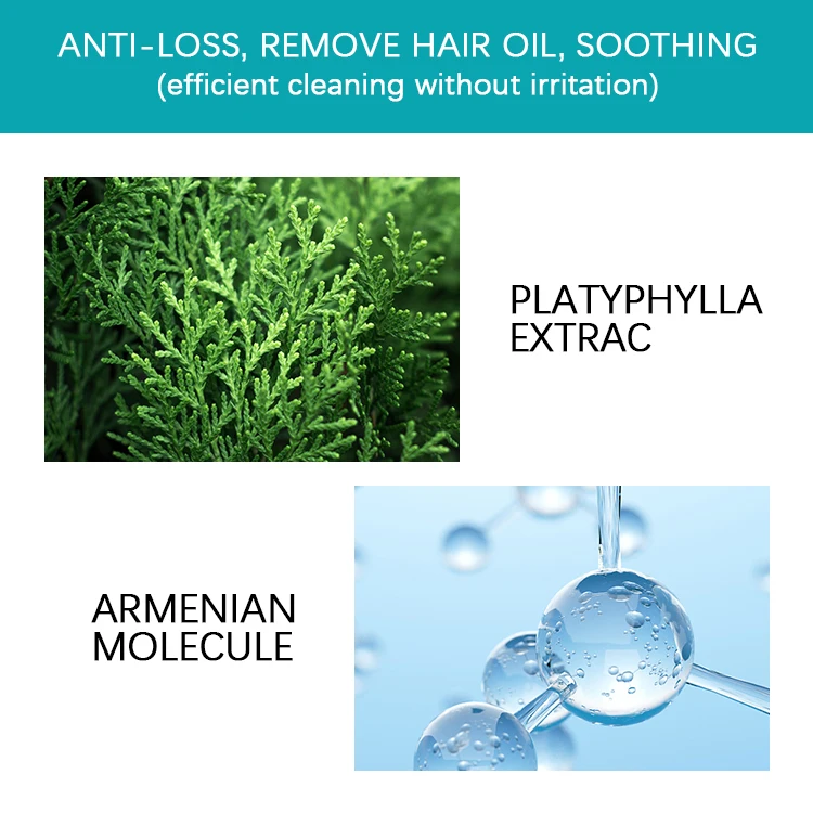 OEM Pro Hair-Anti Hairloss Shampoo 1000ml TCM Ingredients Silicone-Free Chinese Government Certificate