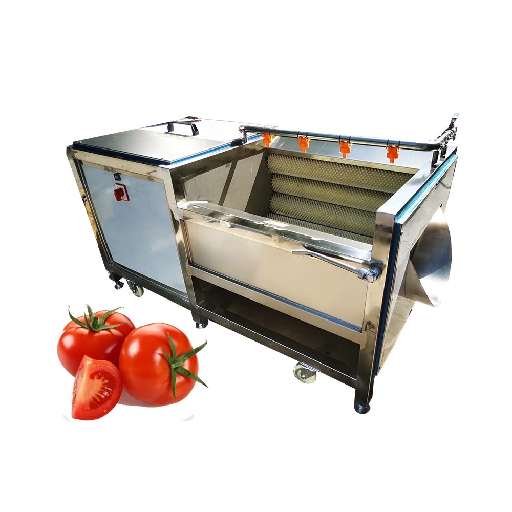  Brush Type Fruit Cleaning Machine Tomato Washing machine Price For
