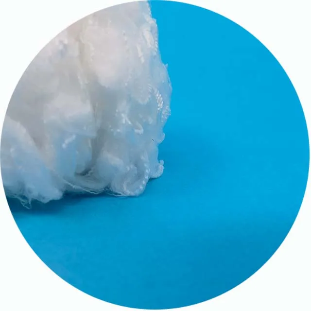 1.5D*38mm Raw White Bicomponent PLA Fiber For China