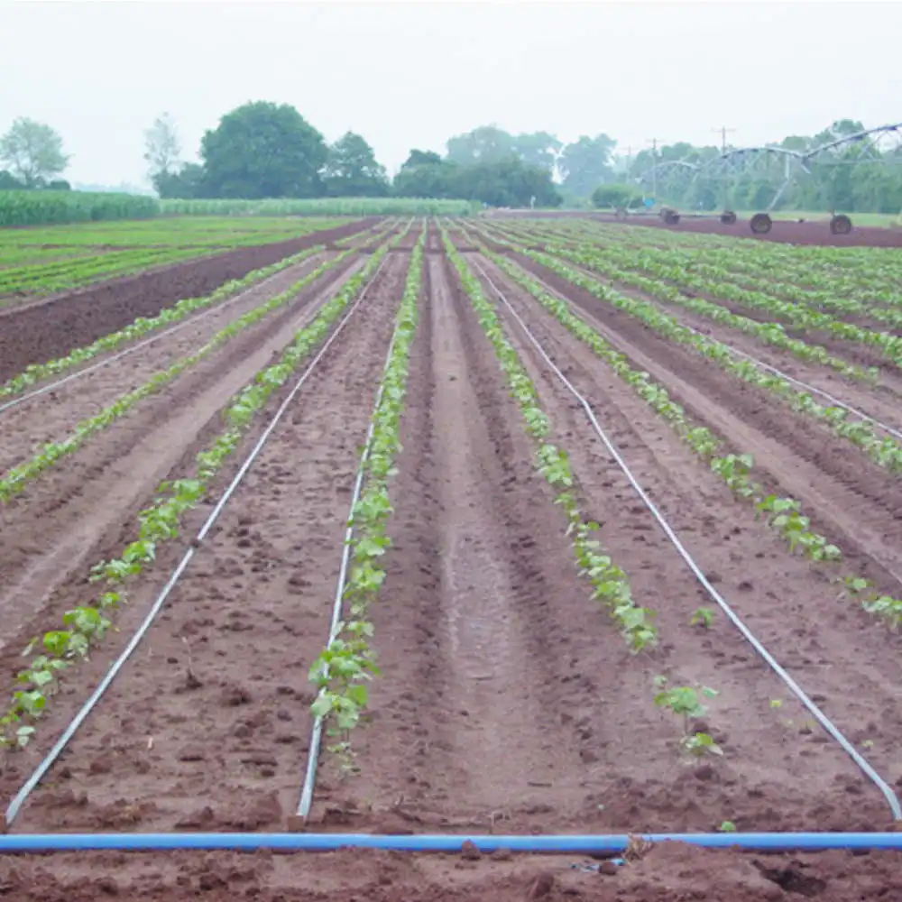 Hot sale new design 2 hectare agriculture drip irrigation system for farm