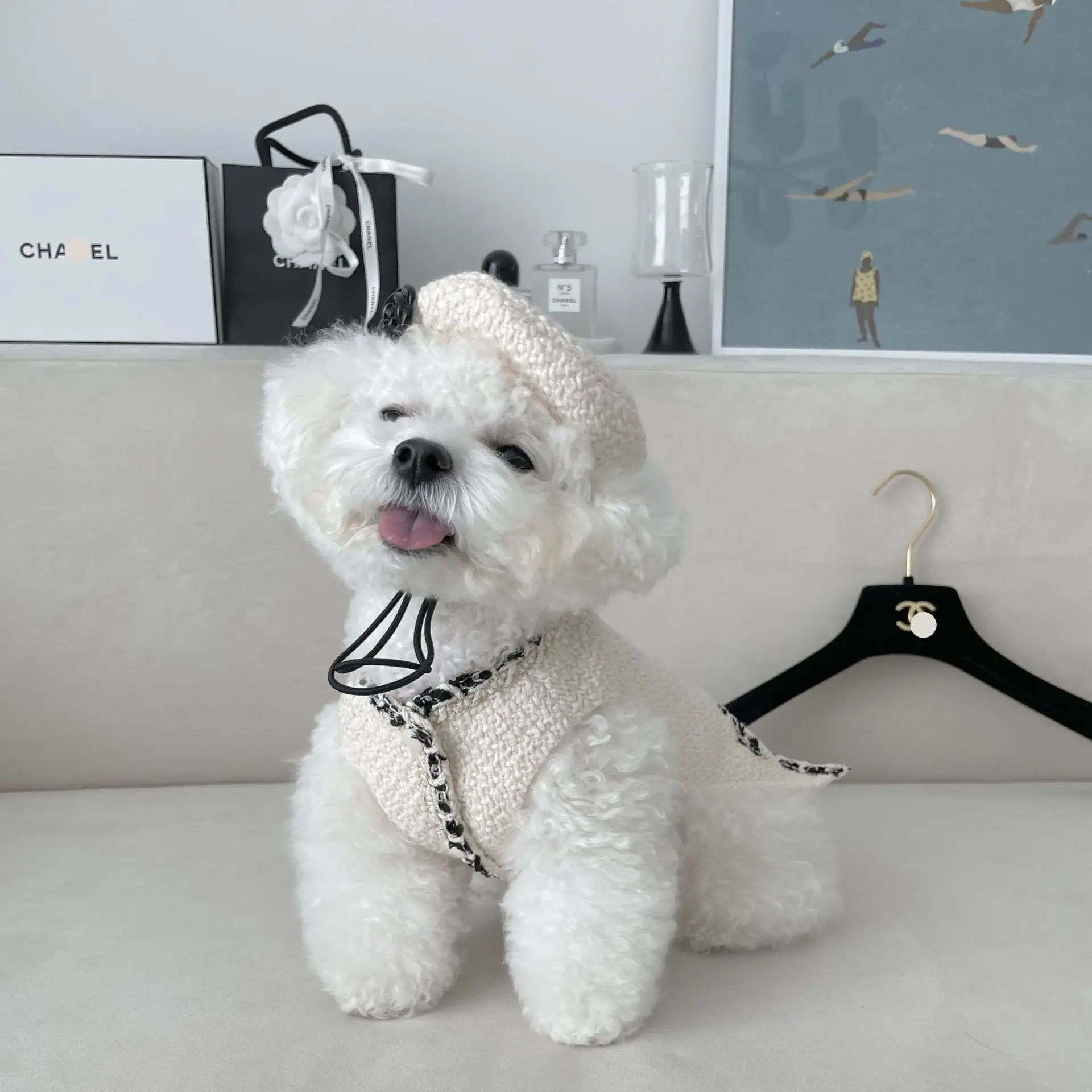 Luxury Designer Style French Bulldog Teddy Schnauzer Puppy Dog Dress Korean Pet Clothes Sexy Lady Dog Fancy Dress