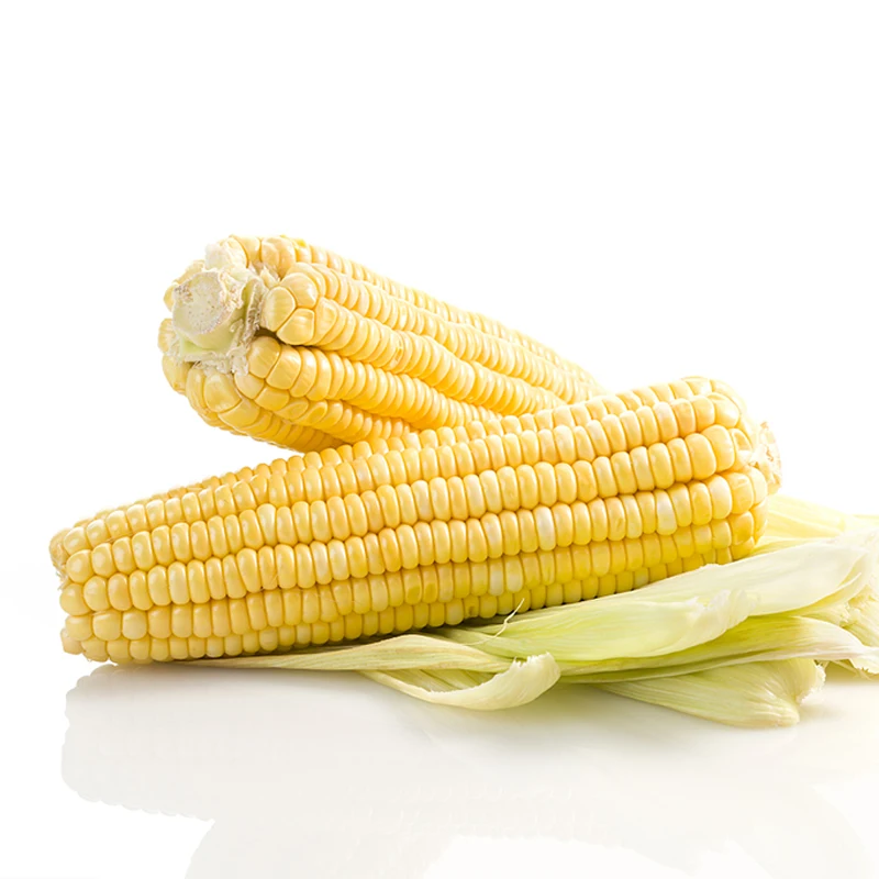 Manufacture factory frozen corn OEM corn popular product yellow sweet corn for sale