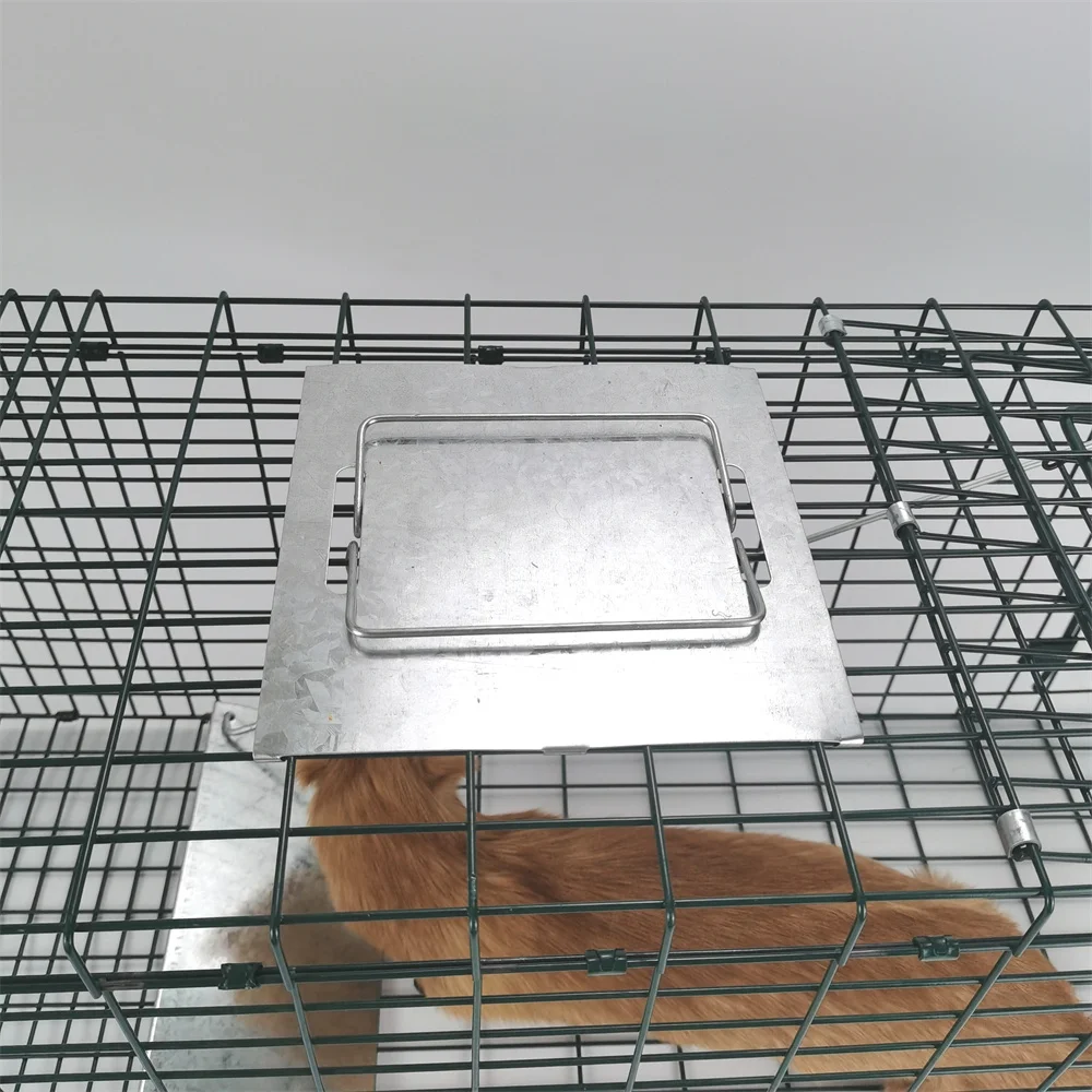 Popular Hog Pig Trap extra Large fox Trap Green Galvanizing Boar Hunting Traps