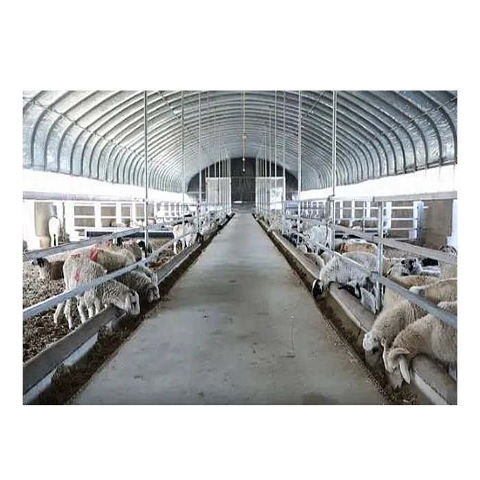 Detachable prefabricated steel structure goat farm sheep barn farming design shed house