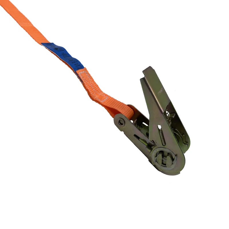 1inch/LC800KGS/6m Light Duty Ratchet Strap Polyester Endless Lashing