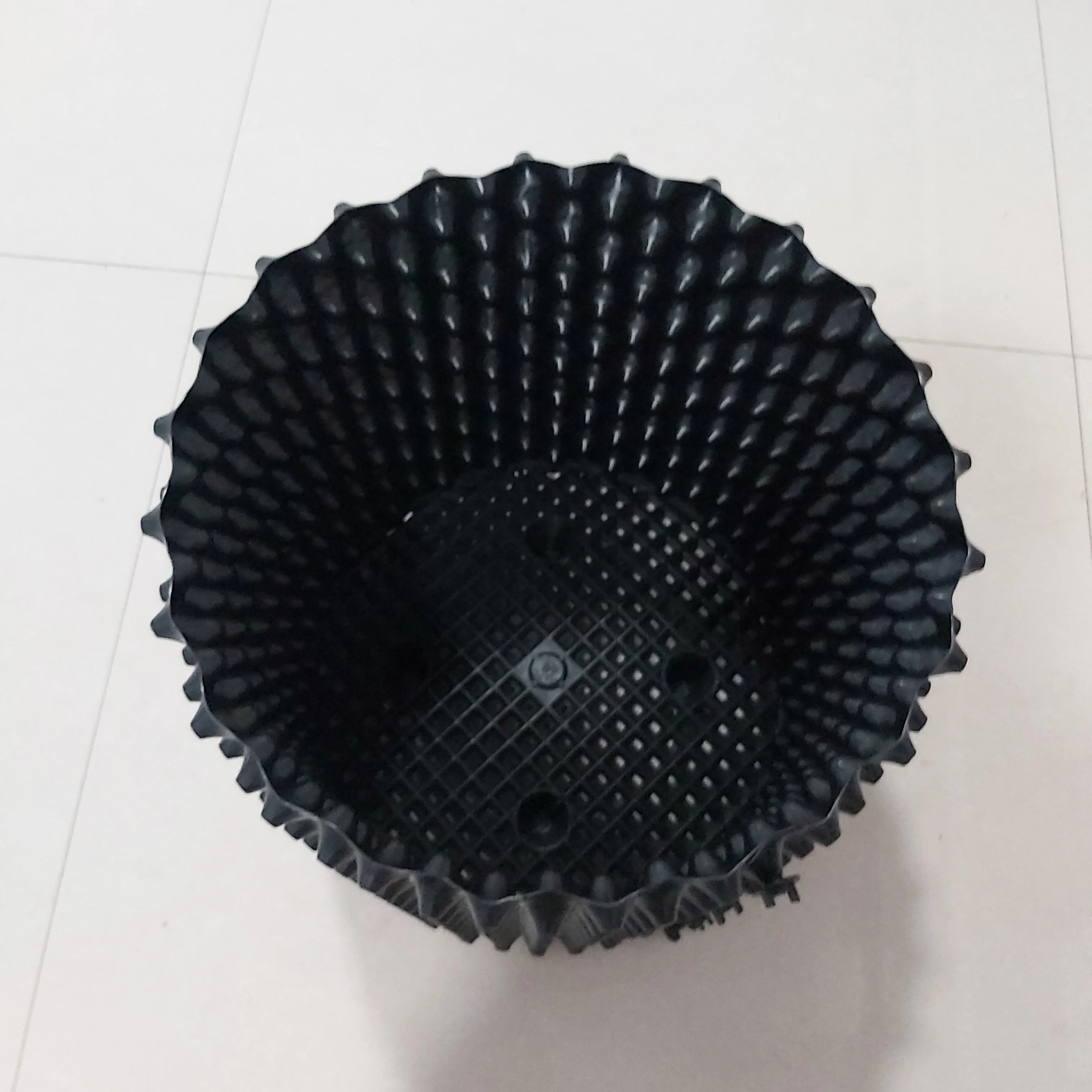 New 10 gallon tree plant root fast growth air pruning pot cranberry container ready for shipment stock Bangkok Thailand