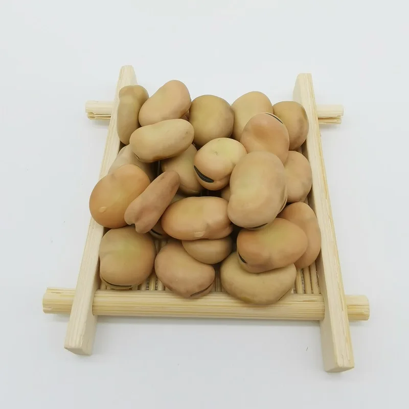 factory directly sell Liangtian broad BEAN  high-protein board  bean high premium quality with competitive price