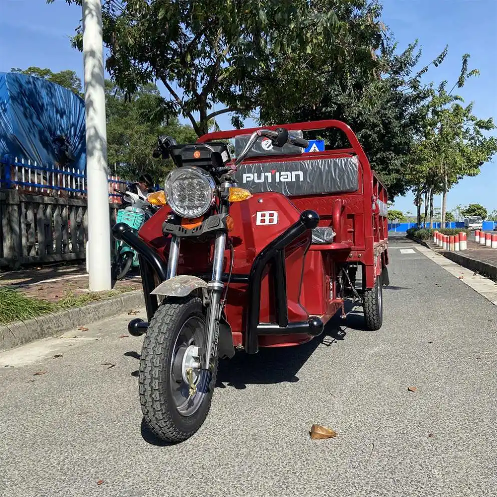 Top And Hot Selling 48V Auto Rickshaw For Sale