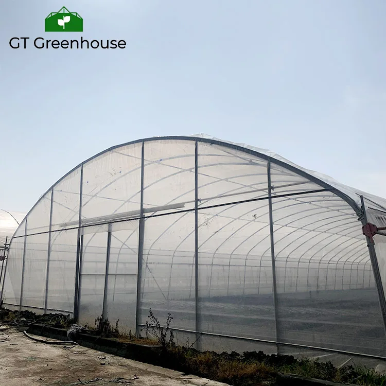 GT Outdoor Agriculture Commercial Plastic Film Tunnel Green House Metal Frame