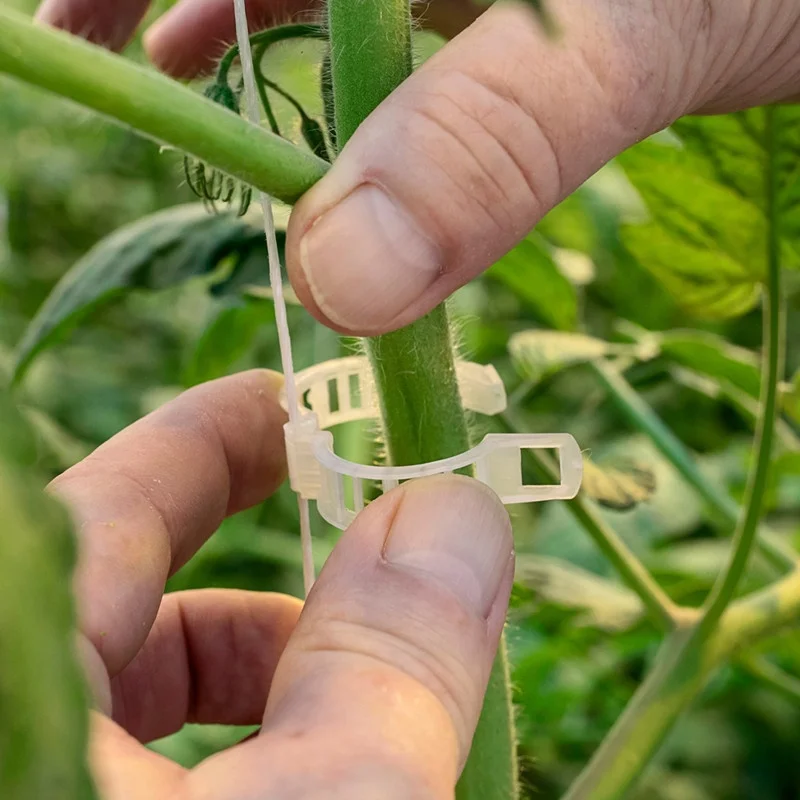 good price tomato and cucumber clips for vine crops