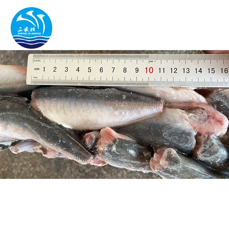 Прямая продажа с завода новые водные продукты ловящая замороженная рыба Лошадиная скумбрия