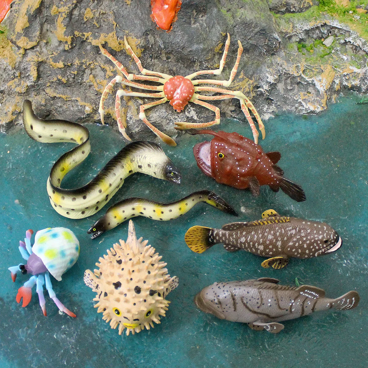 Cross-border Simulation Marine Animal Model Spider River Dolphin Fish Grouper Hermit Crab Moray Eel Ornament Toy