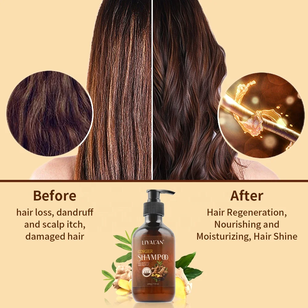 Natural Organic Hair Products Deep Clean Anti Hair Loss Anti-Dandruff Hair Growth Ginger Shampoo