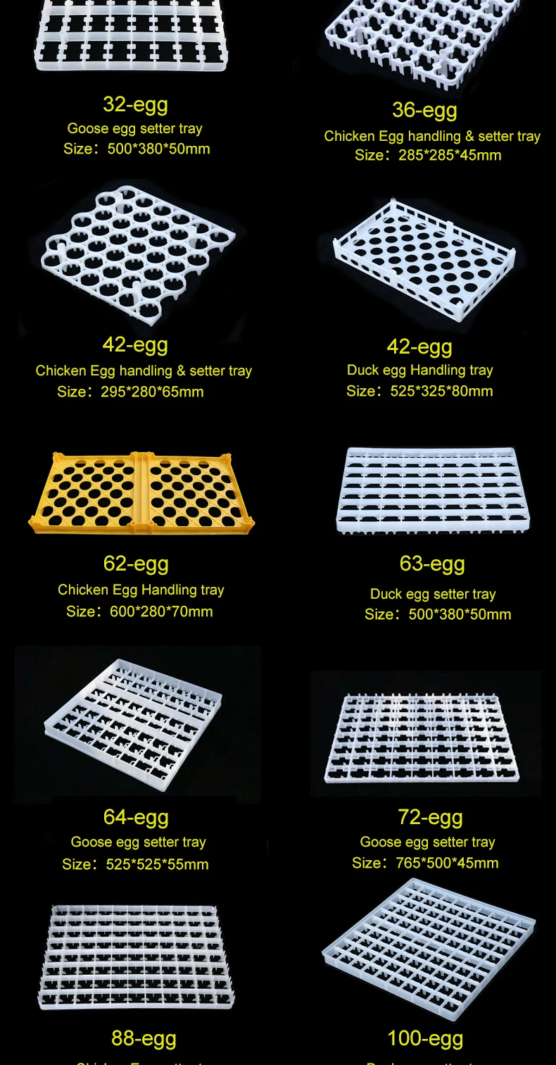 221cells plastic HDPE quail egg tray for wholesale .jpg
