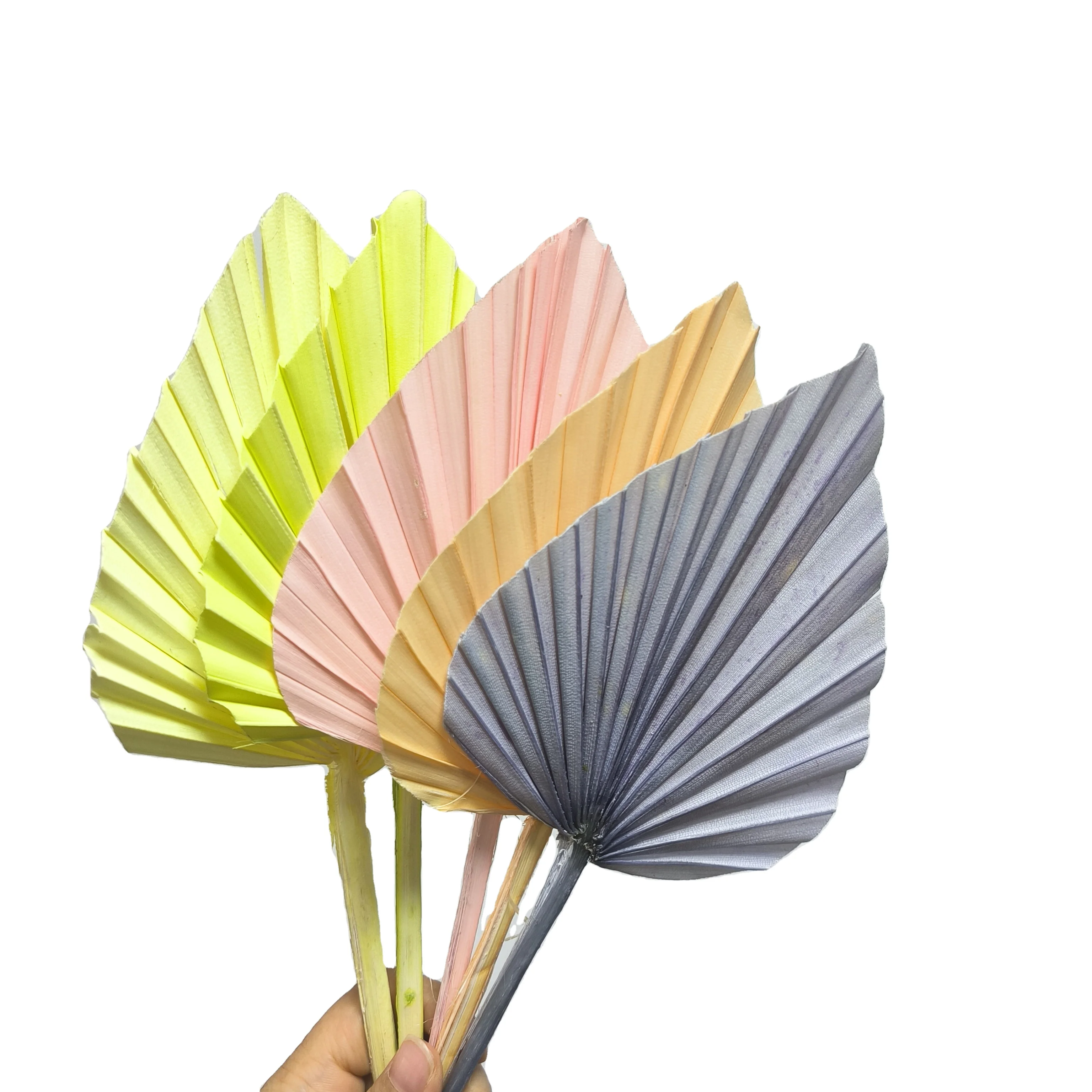 factory wholesale small real heart shaped oval palm spear colored brown blue black dry palm leaf dried palm leaves for decor