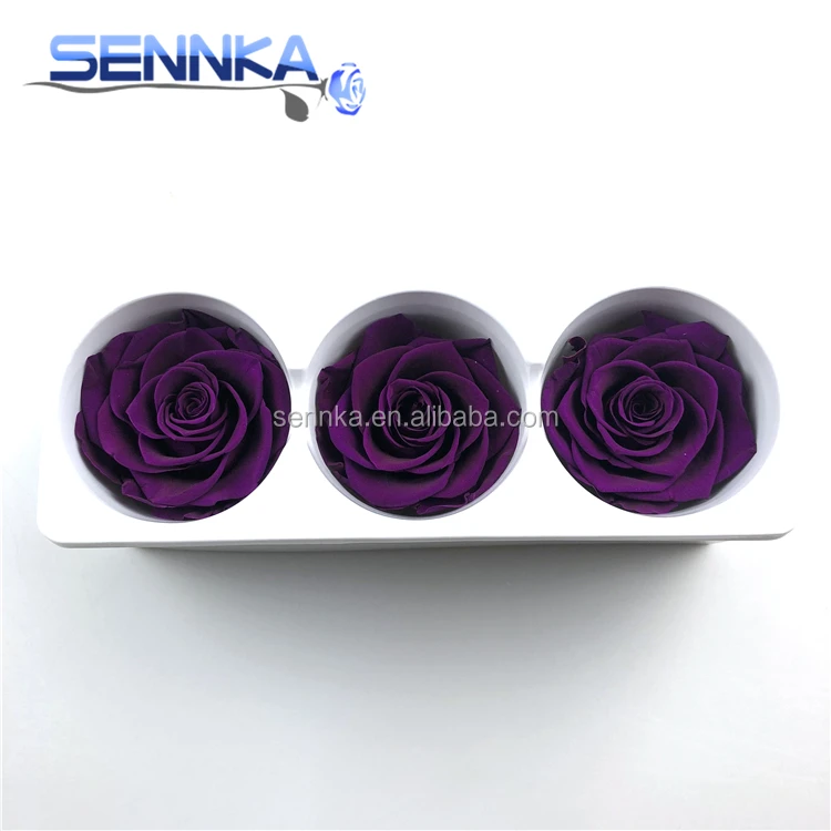 Preserved Real Flowers Natural Fresh Rose head