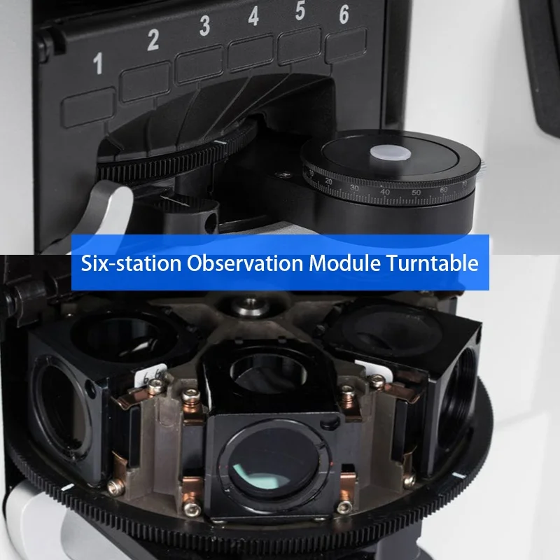 OPTO-EDU A13.1096 Inverted Mrtallurgical Microscope