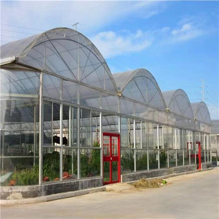High Strength Commercial Agricultural Poly Arch Green House Tomato Plastic Film Greenhouse For Sale