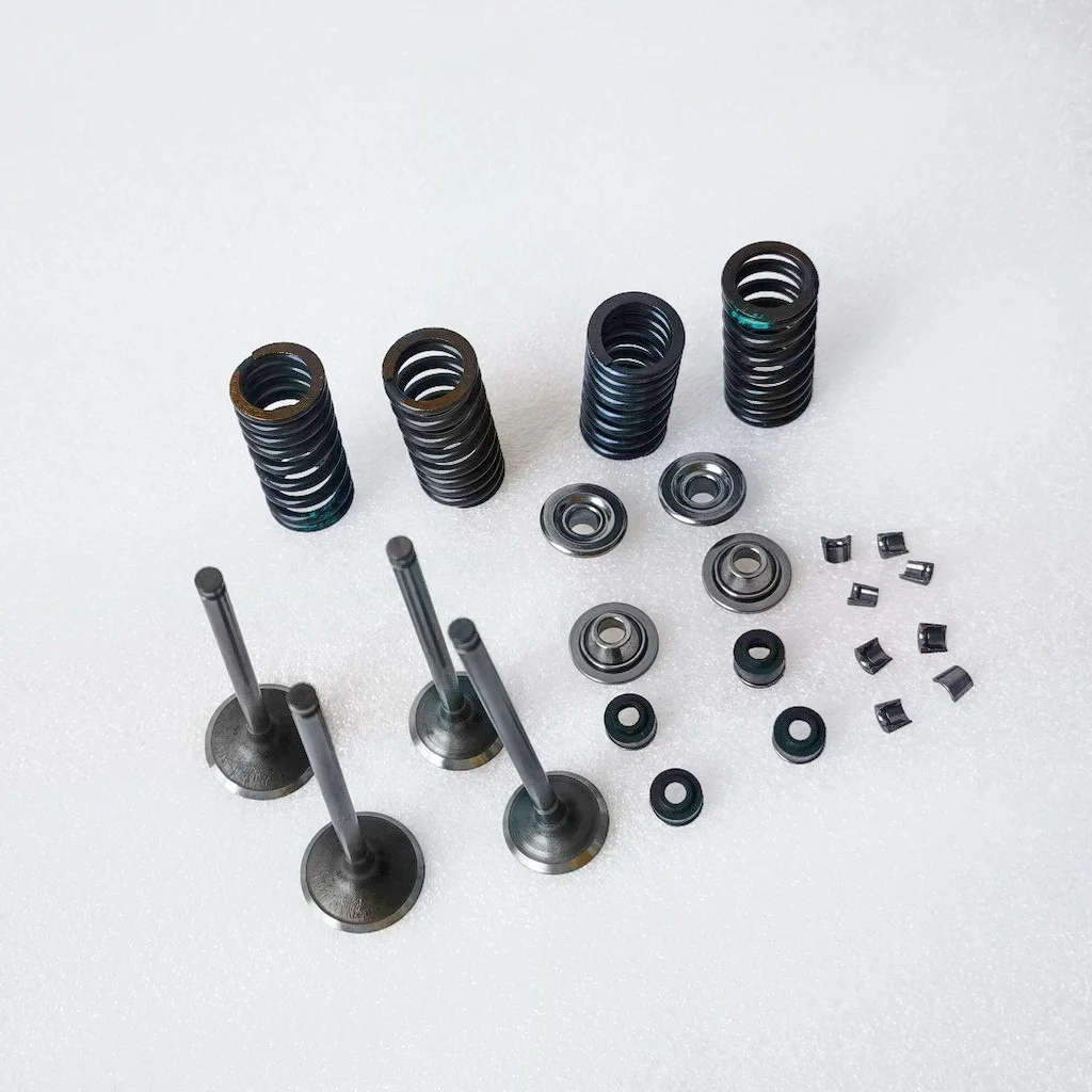 valves and spring kit for Daytona 190 or 212 4 valves engines