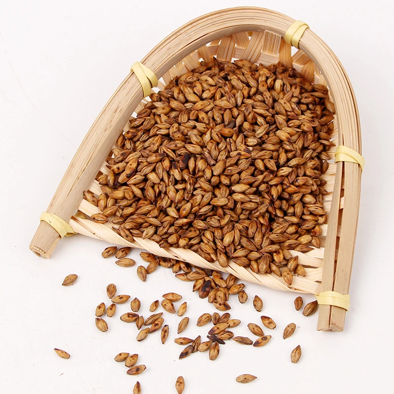 Free samples Low Price Tea Wholesale Bulk 100% Natural Raw Dried Organic Roasted Barley for Brown barley tea Natural Herbs Tea