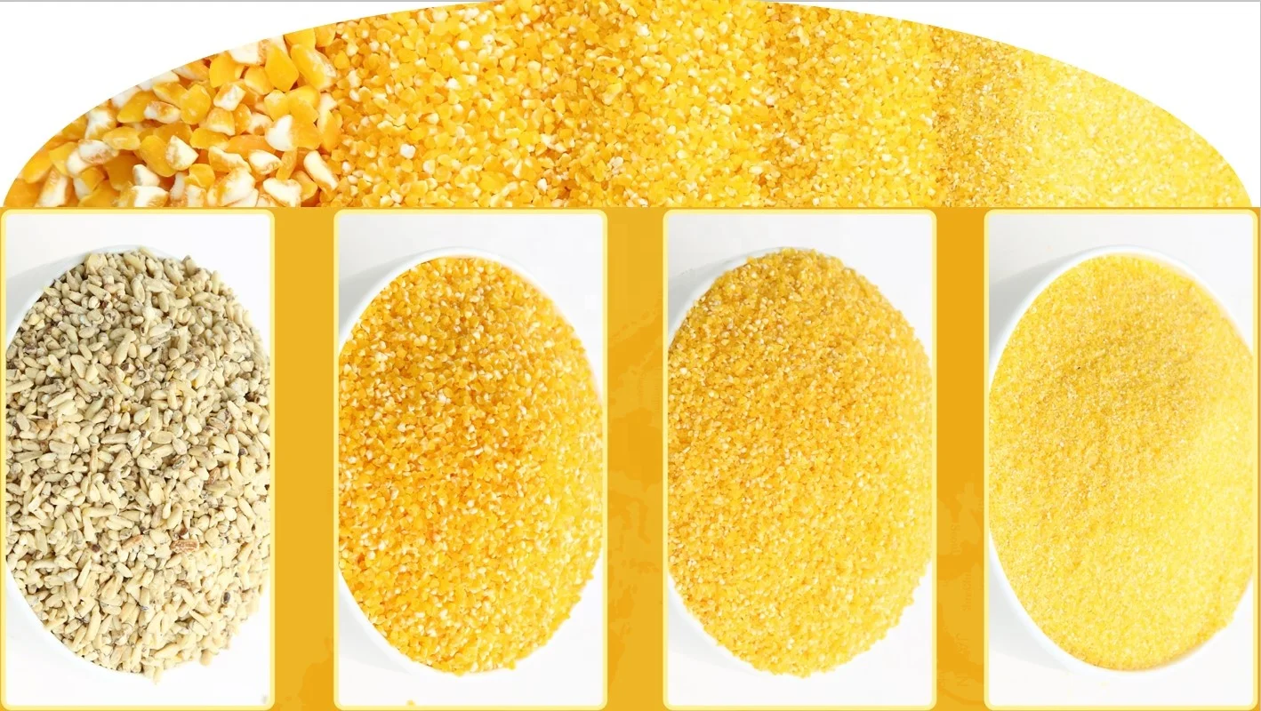 Maize corn peeling grinding germ extraction machine corn germ separation machine