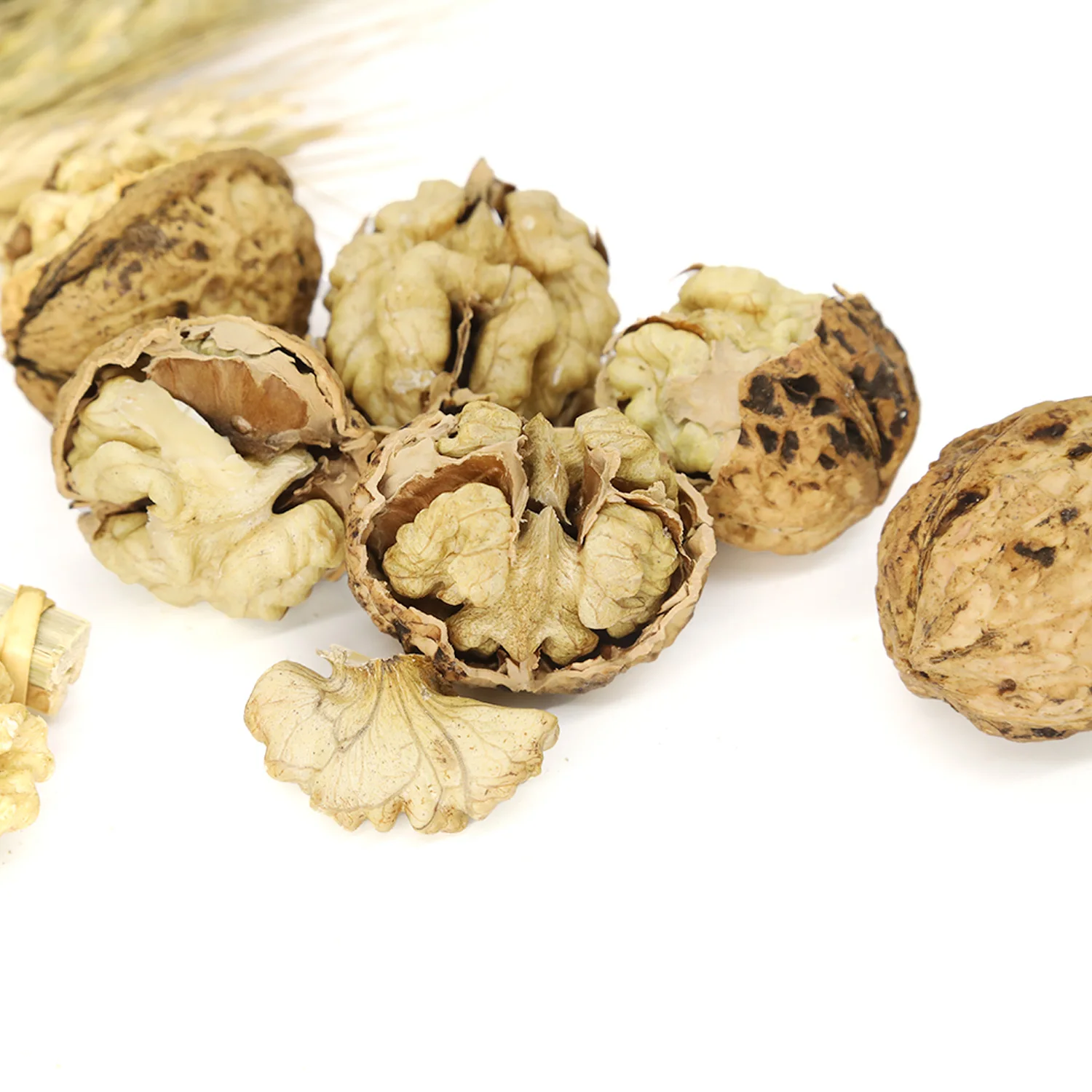 Excellent quality Thin-skin Raw Walnut with shell in bulk wholesale
