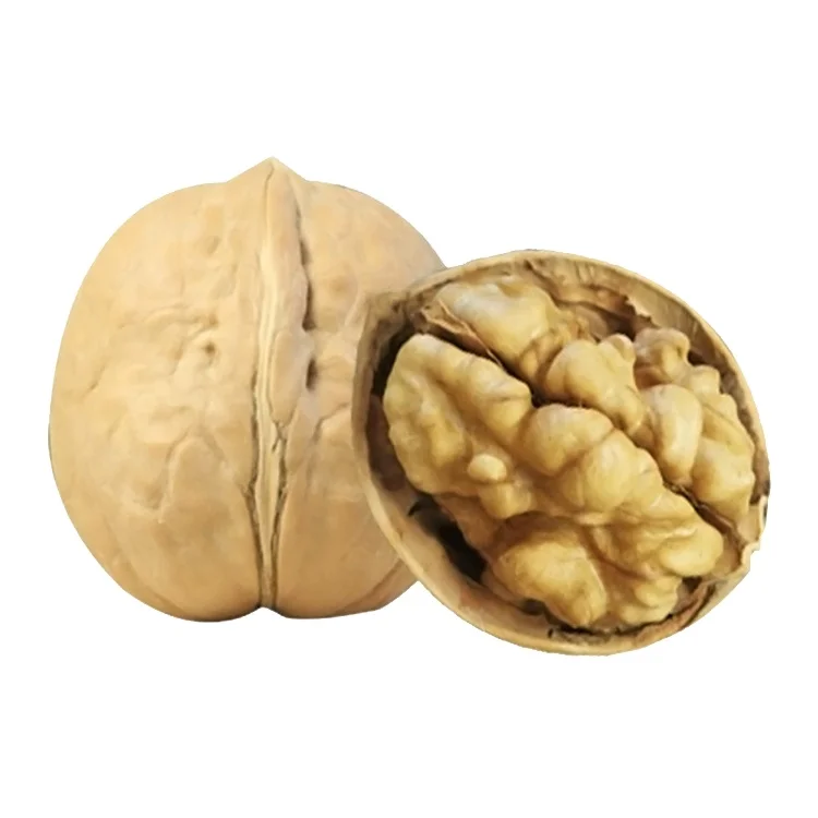 
2021 new crop factory wholesale white walnut kernel from Farm 